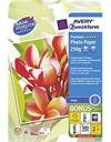 Avery glossy Premium papir A4, 250gram,  2556-20