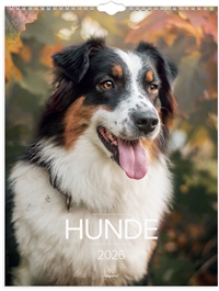 Mayland Vægkalender Hunde 2026 nr. 26066320