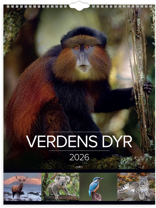 Mayland Vægkalender Verdens dyr 2026 nr. 26066330
