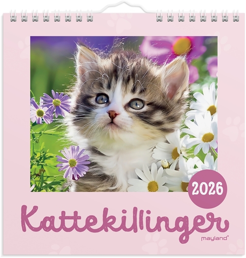 Mayland Vægkalender mini Kattekillinger 2026 nr. 26066400