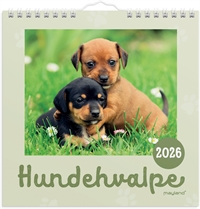 Mayland Vægkalender mini Hundehvalpe 2026 nr. 26066410