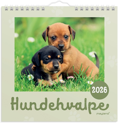 Mayland Vægkalender mini Hundehvalpe 2026 nr. 26066410