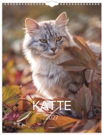 Mayland Vægkalender Katte 2027 nr. 27066300