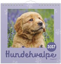 Mayland Vægkalender mini Hundehvalpe 2027 nr. 27066410