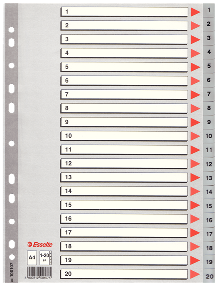 Esselte registre PP 1:20, A4, grå plast