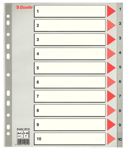 Esselte register PP 1:10 MAXI, grå,  A4