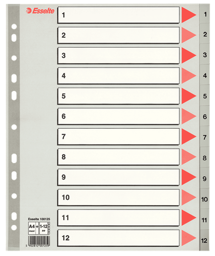 Esselte register PP 1:12, A4 MAXI, grå 