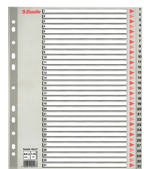 Esselte registre PP 1:31 MAXI, A4, grå
