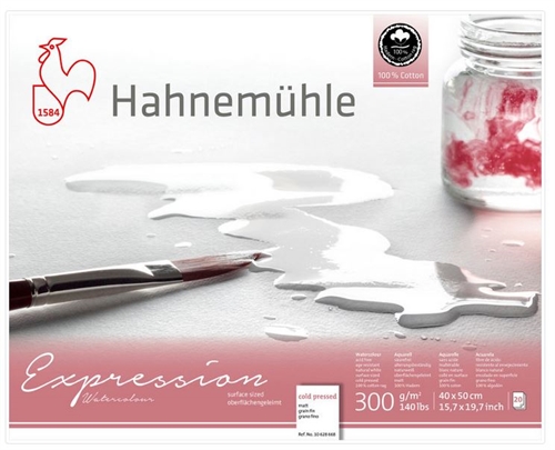 Hahnemühle akvarelblok Expression 300gram 40x50cm